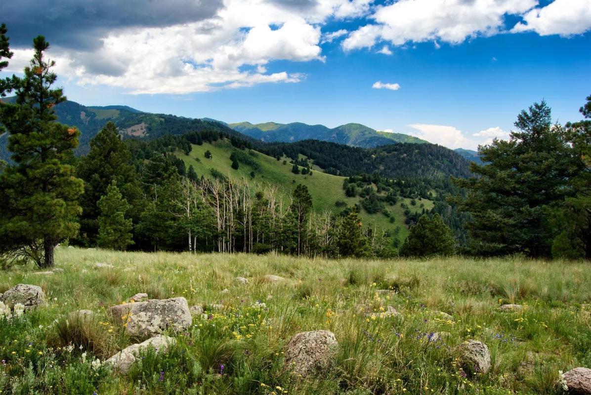 Destiny Cabin, 2 Bedrooms, Fireplace, Midtown, Sleeps 7 Ruidoso Exterior photo